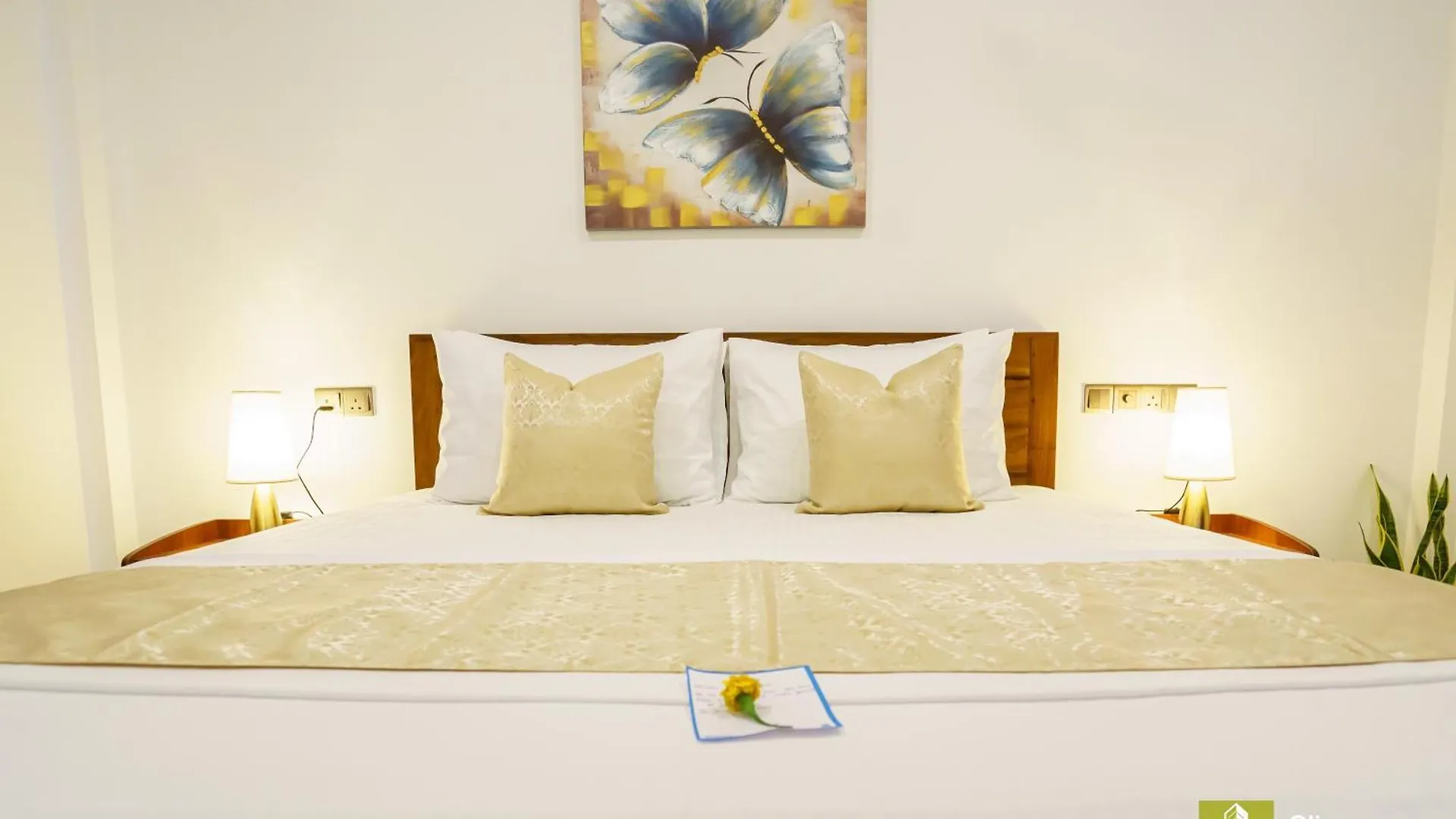Отель Olive Nest Talawatugoda